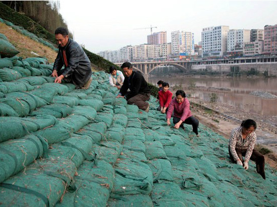 成都河道綠化生態袋