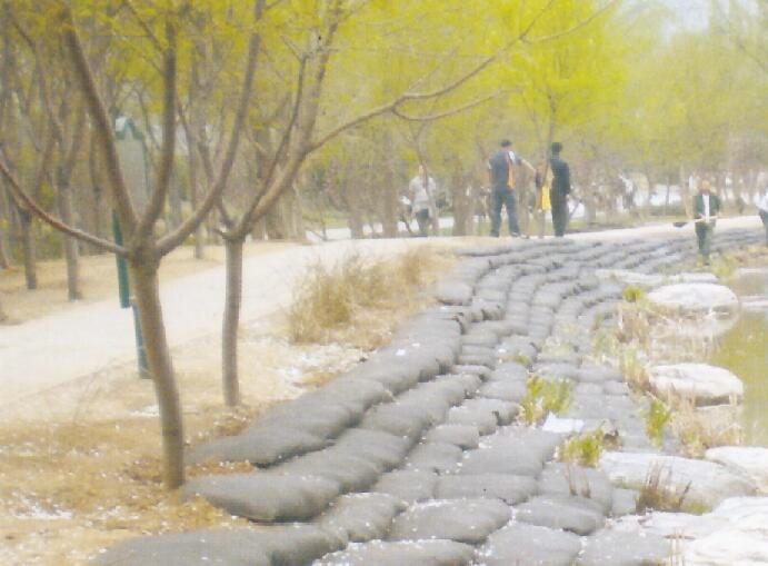 生態(tài)袋河道治理